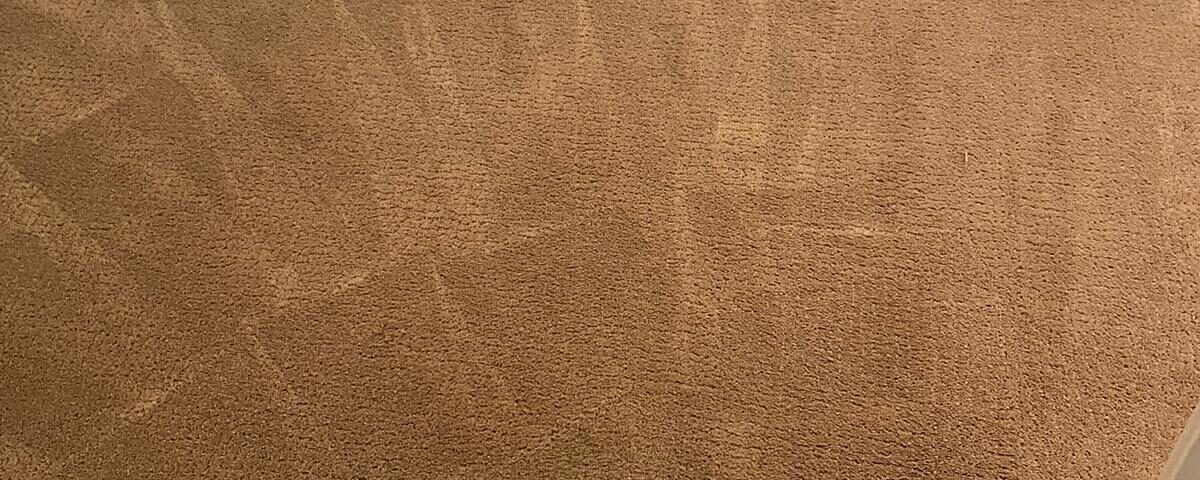 carpet cleaning in laguna woods