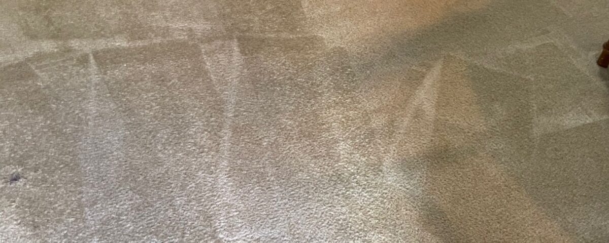 same day carpet cleaning